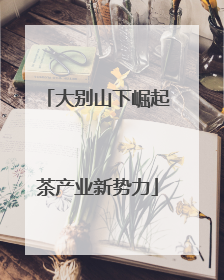 大别山下崛起茶产业新势力