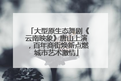 大型原生态舞剧《云南映象》唐山上演，百年商街焕新点燃城市艺术激情