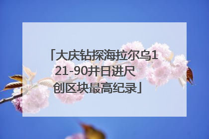 大庆钻探海拉尔乌121-90井日进尺 创区块最高纪录