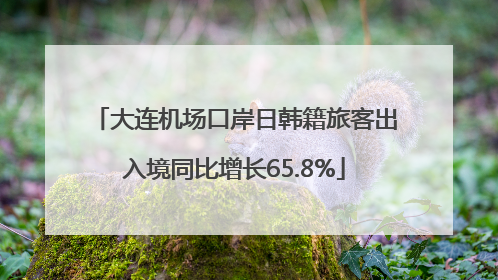 大连机场口岸日韩籍旅客出入境同比增长65.8%