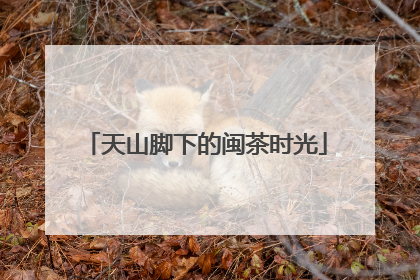 天山脚下的闽茶时光