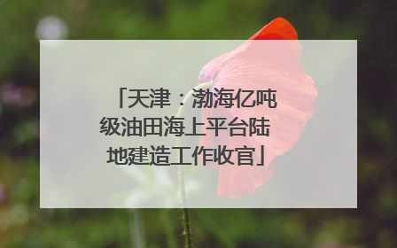 天津：渤海亿吨级油田海上平台陆地建造工作收官