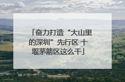 奋力打造“大山里的深圳”先行区 十堰茅箭区这么干
