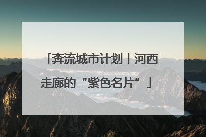奔流城市计划丨河西走廊的“紫色名片”