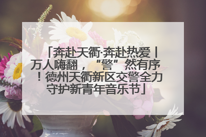 奔赴天衢·奔赴热爱丨万人嗨翻，“警”然有序！德州天衢新区交警全力守护新青年音乐节