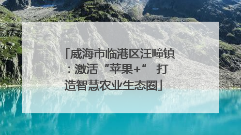 威海市临港区汪疃镇：激活“苹果+” 打造智慧农业生态圈