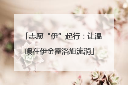 志愿“伊”起行：让温暖在伊金霍洛旗流淌