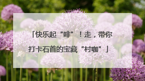 快乐起“啡”！走，带你打卡石首的宝藏“村咖”