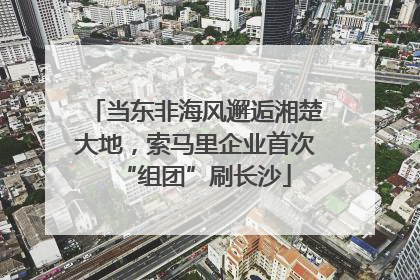 当东非海风邂逅湘楚大地，索马里企业首次“组团”刷长沙