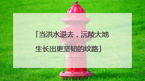 当洪水退去，沅陵大地生长出更坚韧的纹路