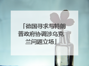 德国寻求与特朗普政府协调涉乌克兰问题立场