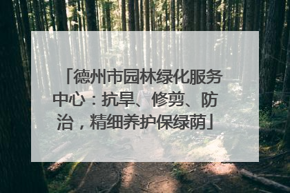 德州市园林绿化服务中心：抗旱、修剪、防治，精细养护保绿荫