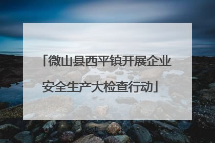 微山县西平镇开展企业安全生产大检查行动