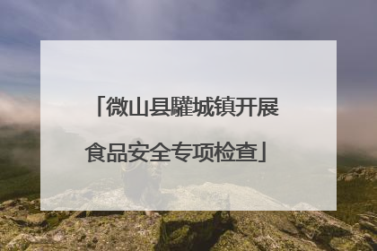 微山县驩城镇开展食品安全专项检查