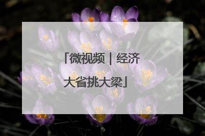 微视频｜经济大省挑大梁