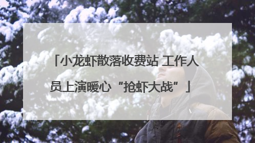 小龙虾散落收费站 工作人员上演暖心“抢虾大战”