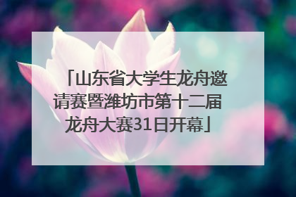 山东省大学生龙舟邀请赛暨潍坊市第十二届龙舟大赛31日开幕