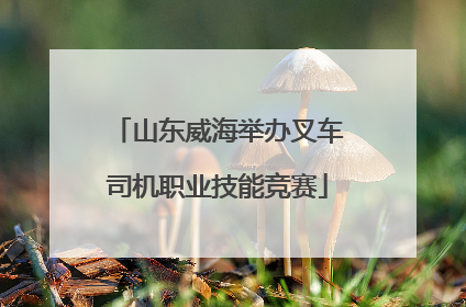 山东威海举办叉车司机职业技能竞赛