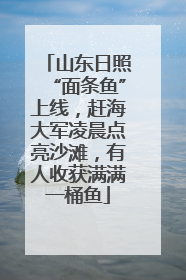 山东日照“面条鱼”上线，赶海大军凌晨点亮沙滩，有人收获满满一桶鱼
