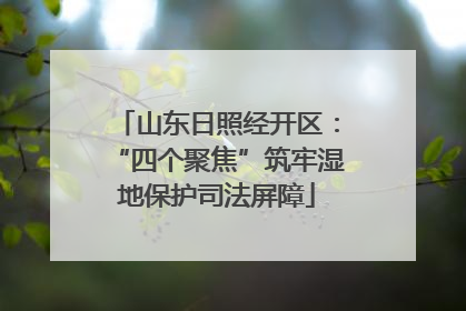 山东日照经开区：“四个聚焦”筑牢湿地保护司法屏障