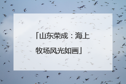 山东荣成：海上牧场风光如画
