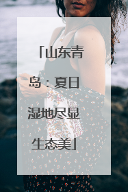 山东青岛：夏日湿地尽显生态美