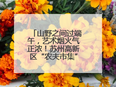 山野之间过端午，艺术烟火气正浓！苏州高新区“农夫市集”火热进行中