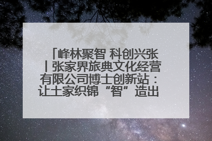 峰林聚智 科创兴张丨张家界旅典文化经营有限公司博士创新站：让土家织锦“智”造出非遗新传奇