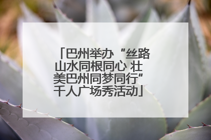 巴州举办“丝路山水同根同心 壮美巴州同梦同行”千人广场秀活动