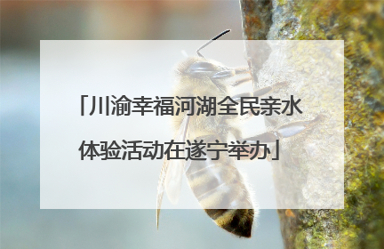川渝幸福河湖全民亲水体验活动在遂宁举办