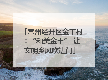 常州经开区金丰村：“和美金丰” 让文明乡风吹进门