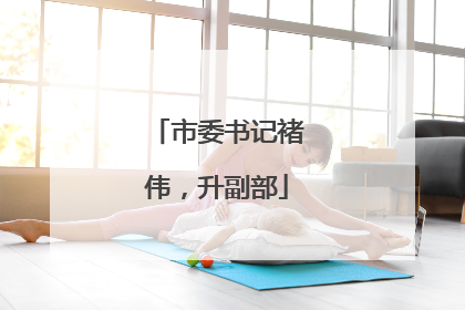 市委书记褚伟，升副部