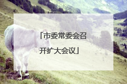 市委常委会召开扩大会议