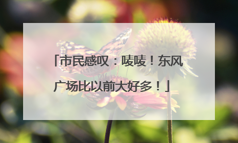 市民感叹：唛唛！东风广场比以前大好多！