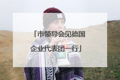 市领导会见德国企业代表团一行