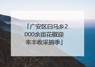 广安区白马乡2000余亩花椒迎来丰收采摘季