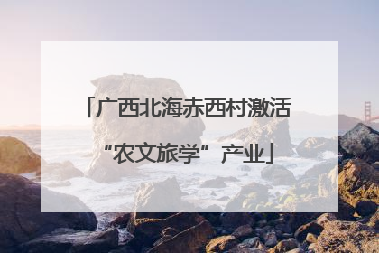 广西北海赤西村激活“农文旅学”产业