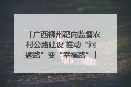 广西柳州靶向监督农村公路建设 推动“问题路”变“幸福路”