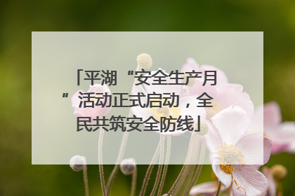 平湖“安全生产月”活动正式启动，全民共筑安全防线