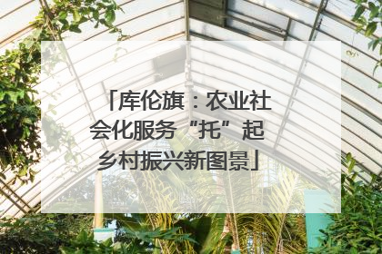 库伦旗：农业社会化服务“托”起乡村振兴新图景