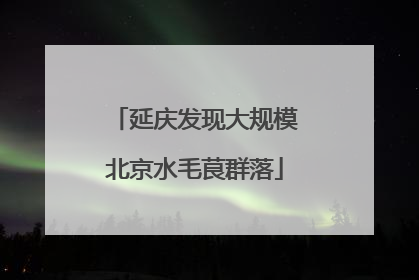 延庆发现大规模北京水毛茛群落