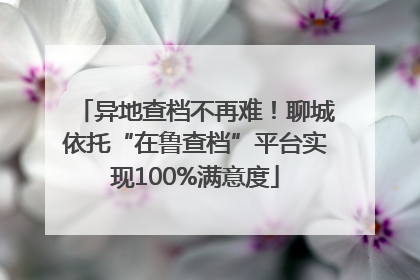 异地查档不再难！聊城依托“在鲁查档”平台实现100%满意度