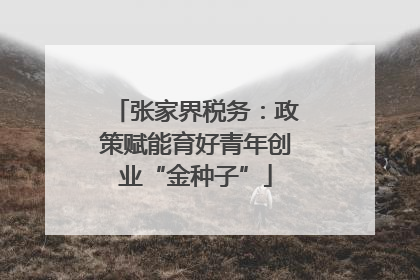 张家界税务：政策赋能育好青年创业“金种子”
