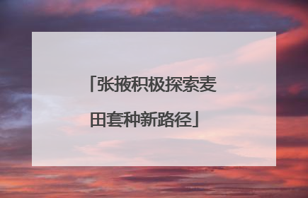 张掖积极探索麦田套种新路径