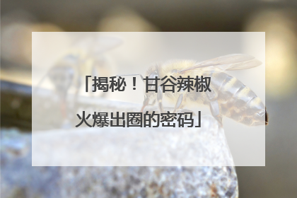 揭秘！甘谷辣椒火爆出圈的密码