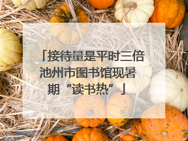 接待量是平时三倍 池州市图书馆现暑期“读书热”