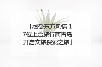 感受东方风情 17位上合旅行商青岛开启文旅探索之旅