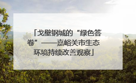 戈壁钢城的“绿色答卷”——嘉峪关市生态环境持续改善观察