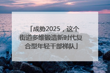 成势2025，这个街道多维锻造新时代复合型年轻干部梯队