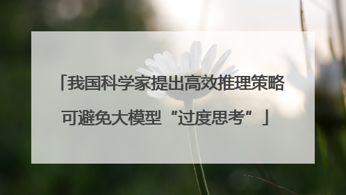 我国科学家提出高效推理策略 可避免大模型“过度思考”